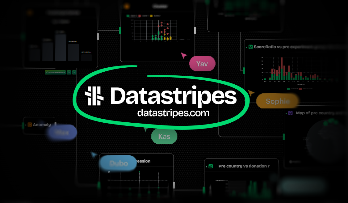 Datastripes product screenshot showing a complex data flow